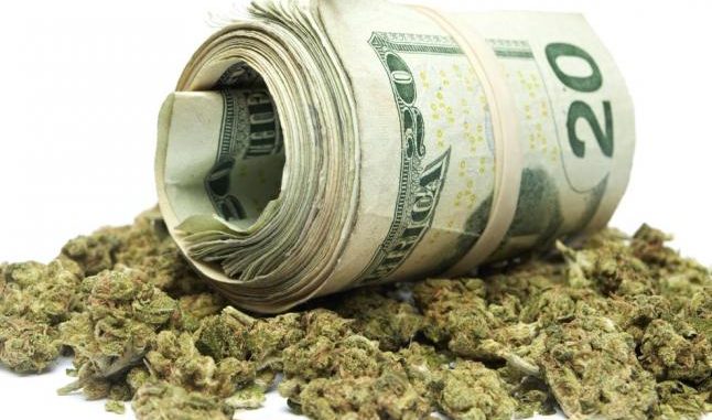 weed-and-money-646x381