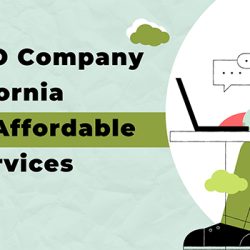 SEO Company in California Feature Image 2
